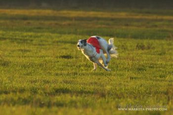 Křídlovka Bistkupstwo